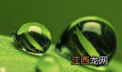 绿色对眼睛有好处用英语怎么说 绿色对眼睛有好处