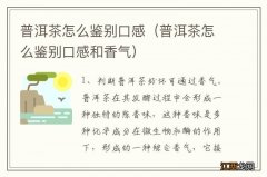 普洱茶怎么鉴别口感和香气 普洱茶怎么鉴别口感