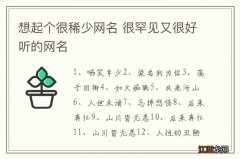 想起个很稀少网名 很罕见又很好听的网名