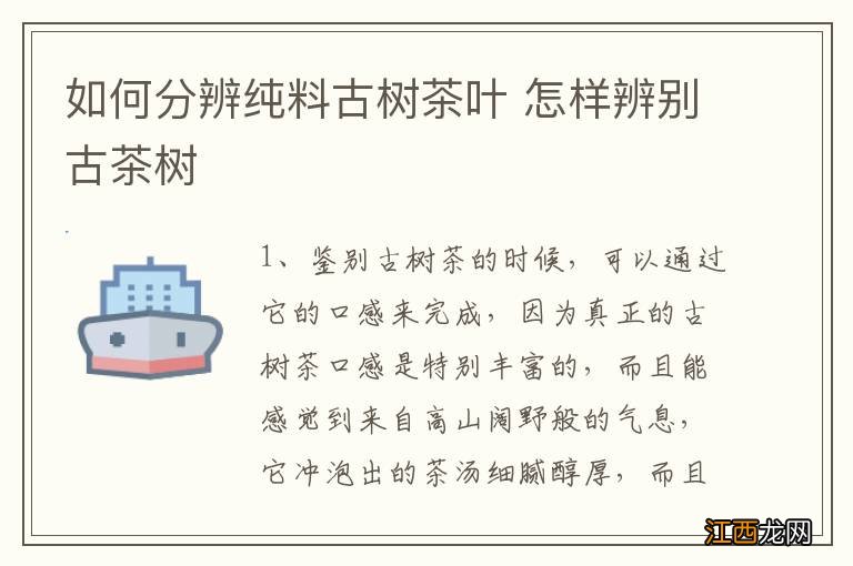 如何分辨纯料古树茶叶 怎样辨别古茶树