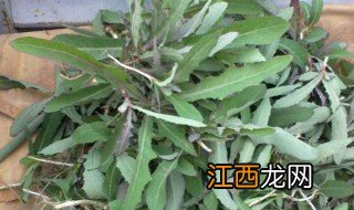 野生苦菜的正确吃法 野生苦菜的正确吃法是什么