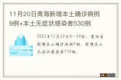 11月20日青海新增本土确诊病例9例+本土无症状感染者530例