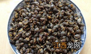 织纹螺是什么 织纹螺介绍