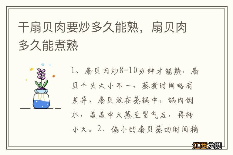 干扇贝肉要炒多久能熟，扇贝肉多久能煮熟