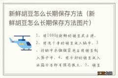 新鲜胡豆怎么长期保存方法图片 新鲜胡豆怎么长期保存方法