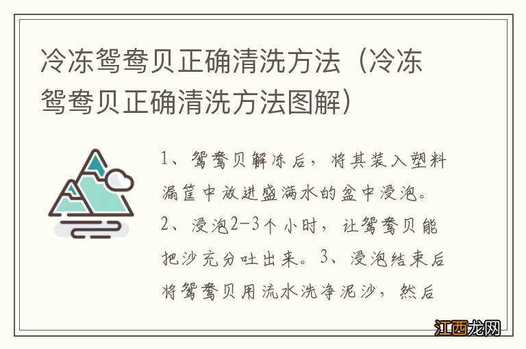 冷冻鸳鸯贝正确清洗方法图解 冷冻鸳鸯贝正确清洗方法