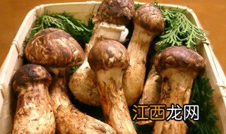 新鲜菌长期保存方法 新鲜菌类如何保存方法