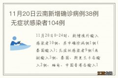 11月20日云南新增确诊病例38例 无症状感染者104例