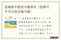 蓝莓可不可以放冰箱冷藏 蓝莓能不能放冷藏保存