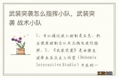 武装突袭怎么指挥小队，武装突袭 战术小队