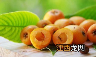 什么树可以嫁接到批把树上 树干可以嫁接吗