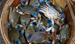 什么季节的大闸蟹好吃 淡水大闸蟹什么季节最好吃