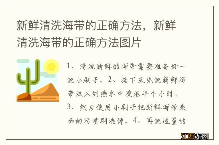 新鲜清洗海带的正确方法，新鲜清洗海带的正确方法图片