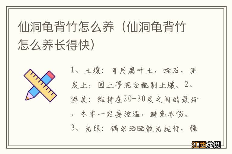 仙洞龟背竹怎么养长得快 仙洞龟背竹怎么养