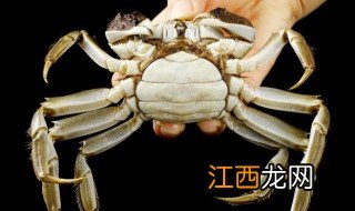 大闸蟹好吃季节,大闸蟹那个季节好吃