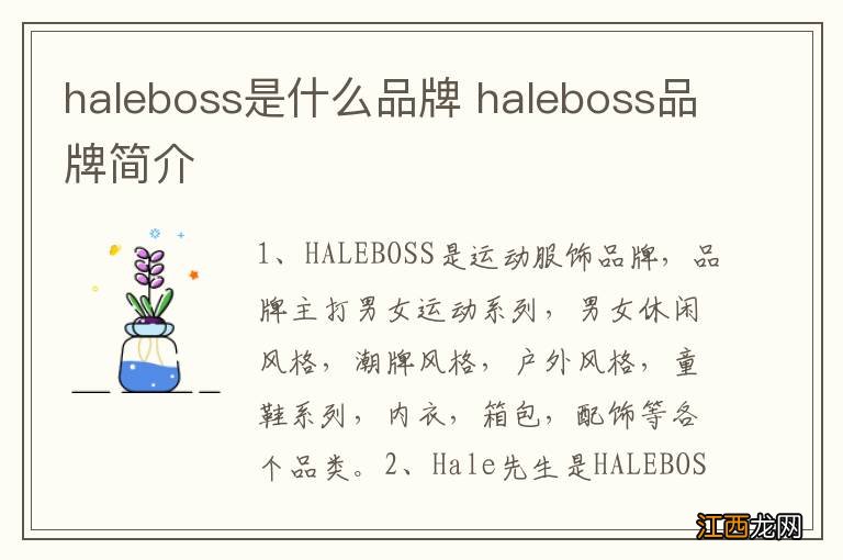 haleboss是什么品牌 haleboss品牌简介