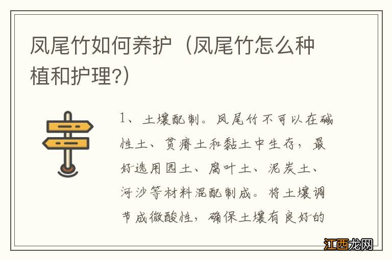 凤尾竹怎么种植和护理? 凤尾竹如何养护