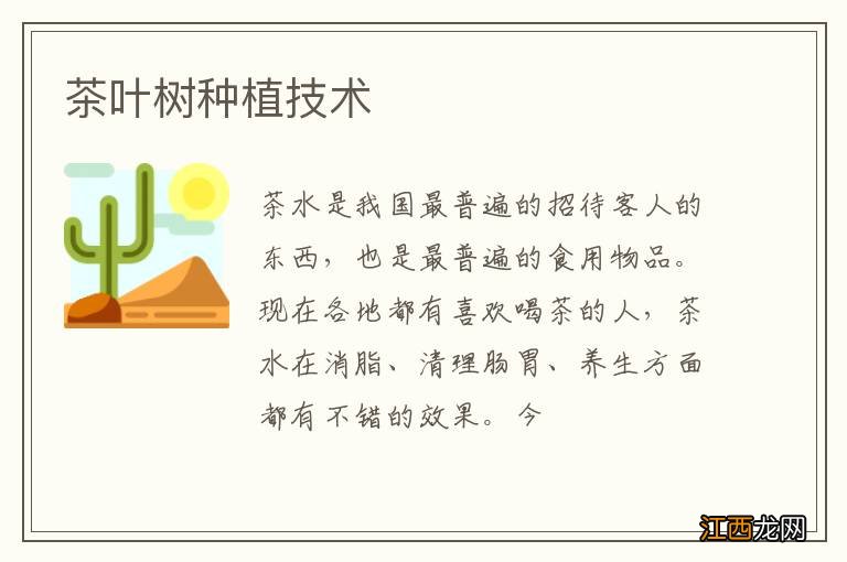 茶叶树种植技术