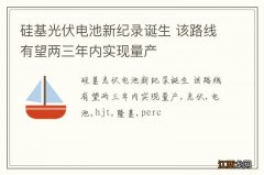 硅基光伏电池新纪录诞生 该路线有望两三年内实现量产