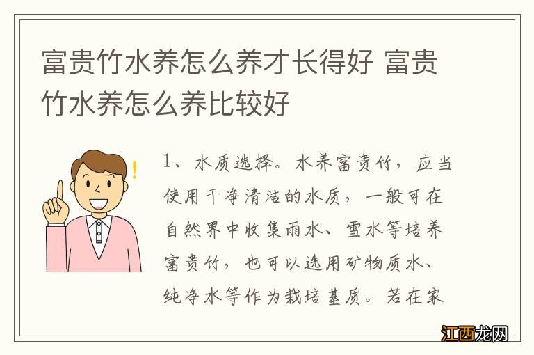 富贵竹水养怎么养才长得好 富贵竹水养怎么养比较好