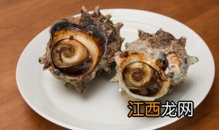 烤箱烤海螺多久能熟，海螺烤箱烤多久才熟