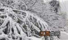 澳大利亚下雪吗