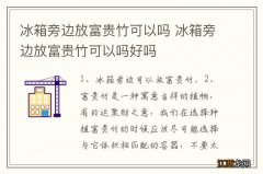 冰箱旁边放富贵竹可以吗 冰箱旁边放富贵竹可以吗好吗