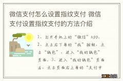 微信支付怎么设置指纹支付 微信支付设置指纹支付的方法介绍