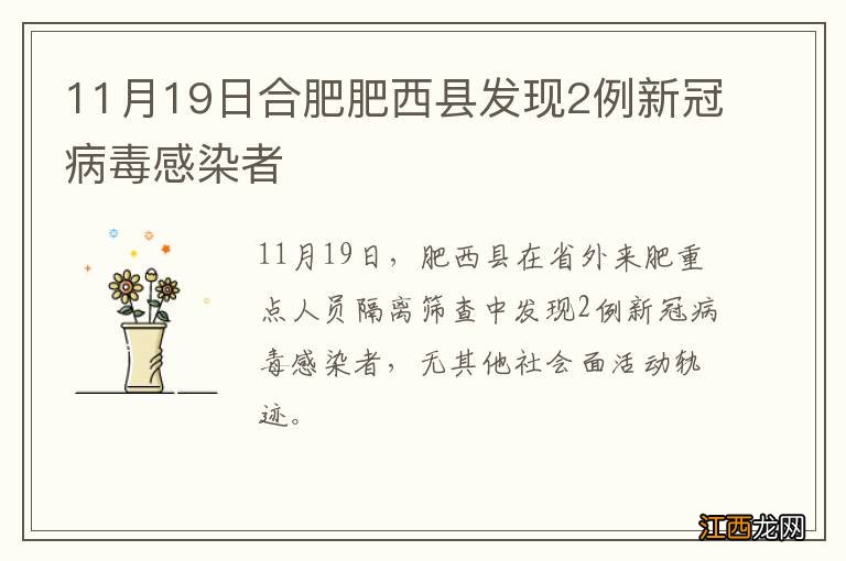 11月19日合肥肥西县发现2例新冠病毒感染者