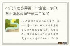 qq飞车怎么弄第二个宝宝，qq飞车手游怎么获得第二个宝宝