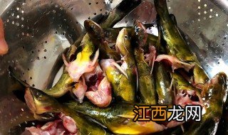 黄菇鱼 炖什么好吃 清炖黄鱼菇怎么做最好吃