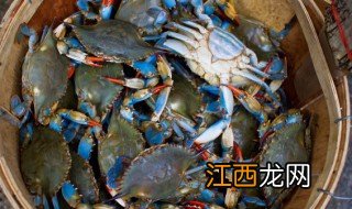 清蒸梭子蟹怎么做最好吃 清蒸梭子蟹怎么做最好吃家常做法