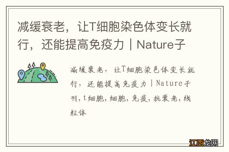 减缓衰老，让T细胞染色体变长就行，还能提高免疫力｜Nature子刊