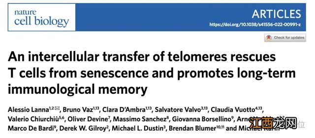 减缓衰老，让T细胞染色体变长就行，还能提高免疫力｜Nature子刊