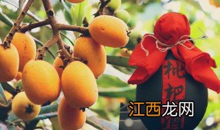 酿酒技术自学教程视频 酿酒技术自学教程