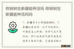 棕榈树在新疆能种活吗 棕榈树在新疆能种活吗吗