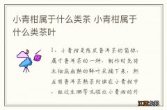 小青柑属于什么类茶 小青柑属于什么类茶叶