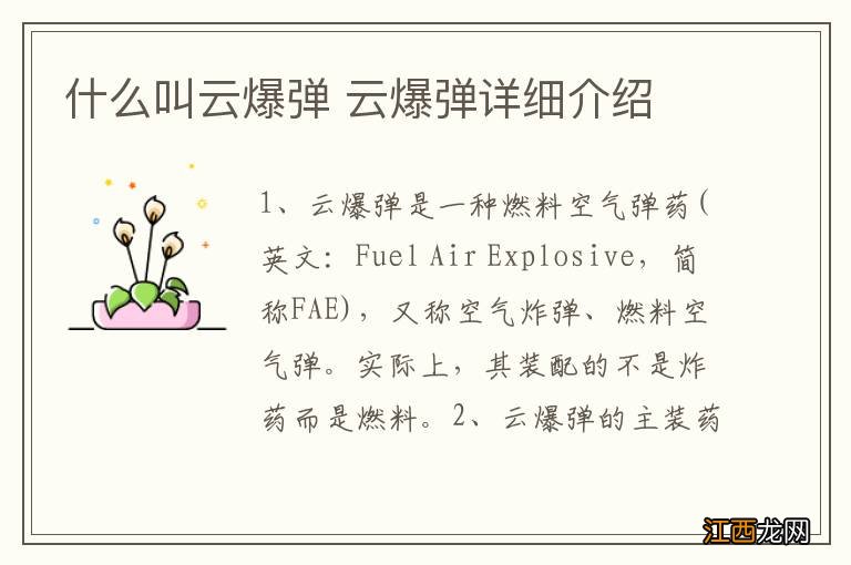 什么叫云爆弹 云爆弹详细介绍