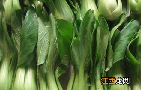 油菜春季田间管理技术