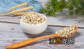 薏米饭怎么做视频 薏米饭怎么做
