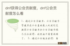 dnf获得公会贡献度，dnf公会贡献度怎么看