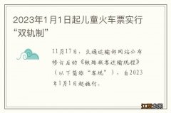 2023年1月1日起儿童火车票实行“双轨制”