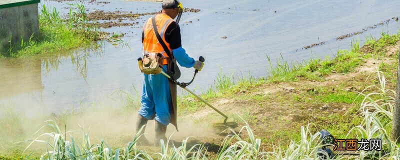 杀菌药喷多久下雨没有影响 杀菌药喷多久下雨没有影响效果
