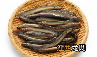 泥鳅怎样煲汤最有营养 泥鳅怎样煲汤最有营养价值