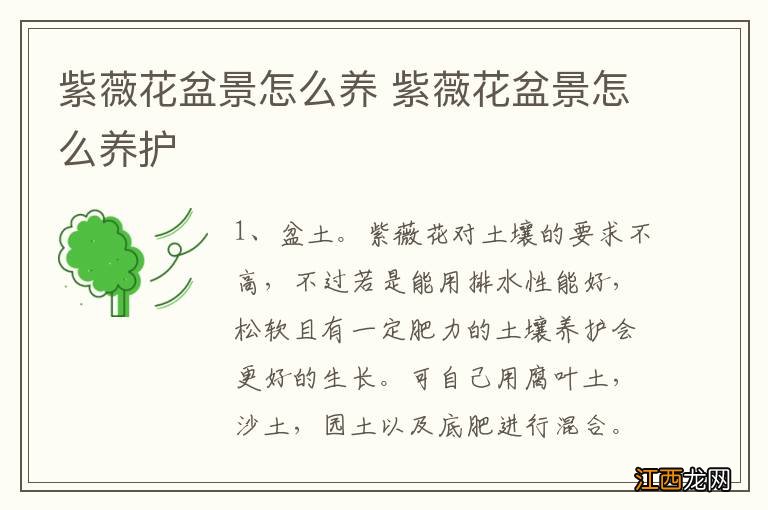 紫薇花盆景怎么养 紫薇花盆景怎么养护