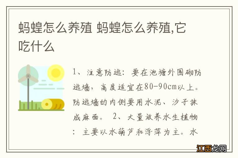 蚂蝗怎么养殖 蚂蝗怎么养殖,它吃什么