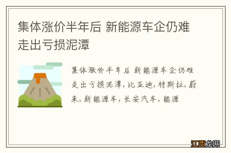 集体涨价半年后 新能源车企仍难走出亏损泥潭