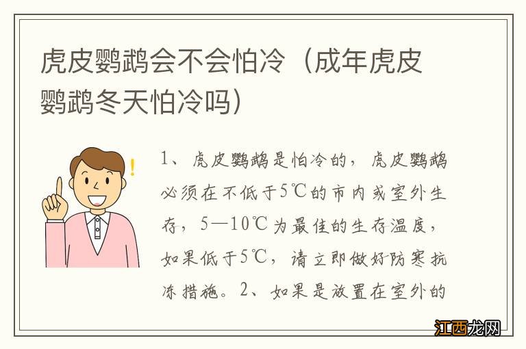 成年虎皮鹦鹉冬天怕冷吗 虎皮鹦鹉会不会怕冷