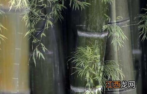 罄竹难书是什么意思?