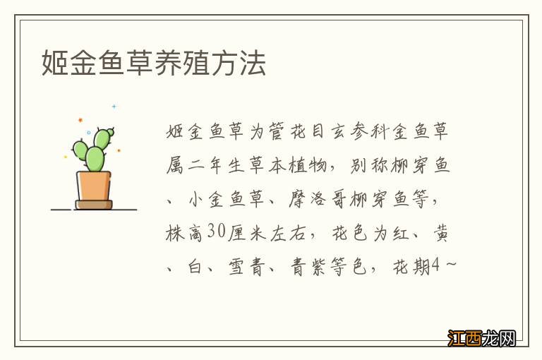 姬金鱼草养殖方法